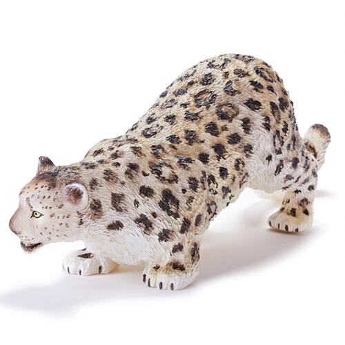 Recur Male Snow Leopard
