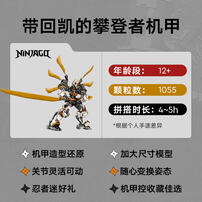 LEGO乐高 幻影忍者系列 71821 寇的泰坦神龙机甲