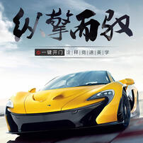 星辉 1：14迈凯伦P1 GTR