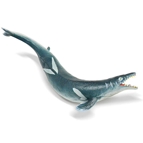 Recur Basilosaurus