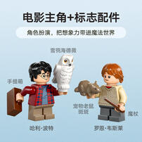 LEGO乐高 哈利波特系列 76424 福特安格利亚飞车 