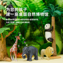 悦酷 12只野生动物圆筒装