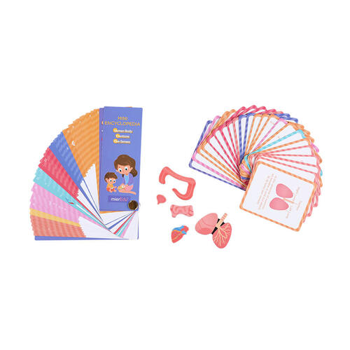 mierEdu Magnetic Kit-My Body+Emotion
