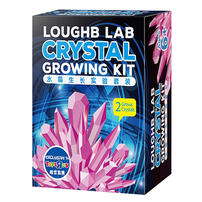 Loughb Crystal Growing Kit - Assorted