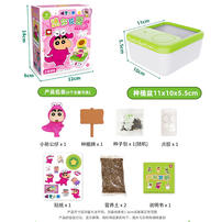 Crayon Shin-Chan  Mini Garden - Assorted