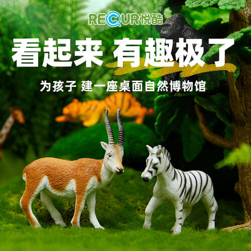 悦酷 12只野生动物圆筒装