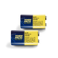 Power Packs 9V Alkaline Battery 2 Pack