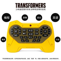 Bumblebee Remote Control Robot