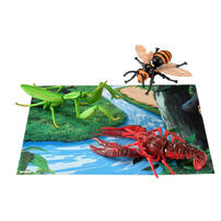 Ania Summer Vacation Gift Set