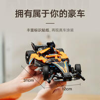 LEGO Technic NEOM McLaren Formula E Race Car  42169