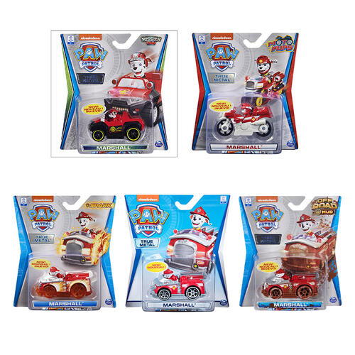 Paw Patrol Dct Diecstvh - Assorted
