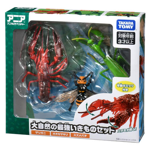 Ania Summer Vacation Gift Set