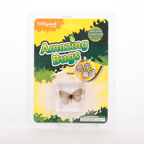 Titigood Natural Module Specimen Toy - Assorted