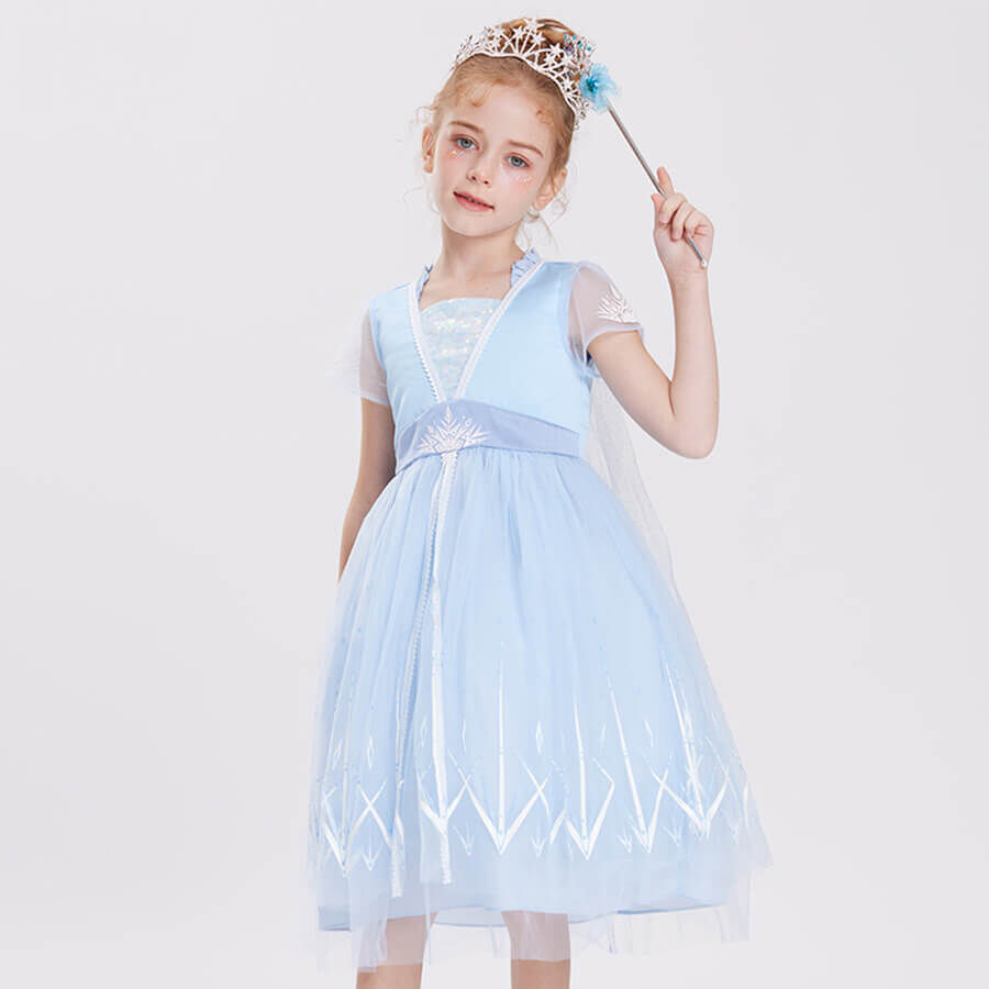 Toys r top us elsa dress