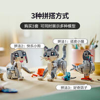 LEGO乐高 创意百变系列 31163 顽皮小猫