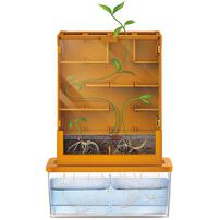 4M 植物大战迷宫 