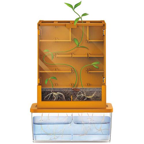 4M 植物大战迷宫 