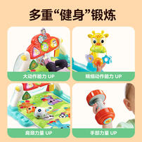 Vtech Kick & Score Playgym