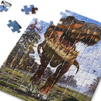 Cubicfun Tyrannosaurus Rex/Triceratops -Assorted