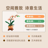 LEGO乐高 10343 典雅兰