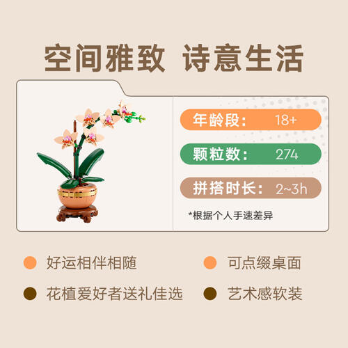 LEGO乐高 10343 典雅兰