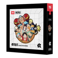 Toi One Plece Puzzle Series With Frame - Assorted