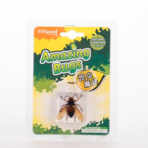Titigood Natural Module Specimen Toy - Assorted