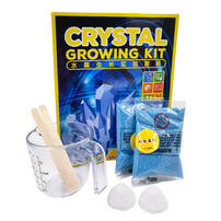 Loughb Crystal Growing Kit - Assorted