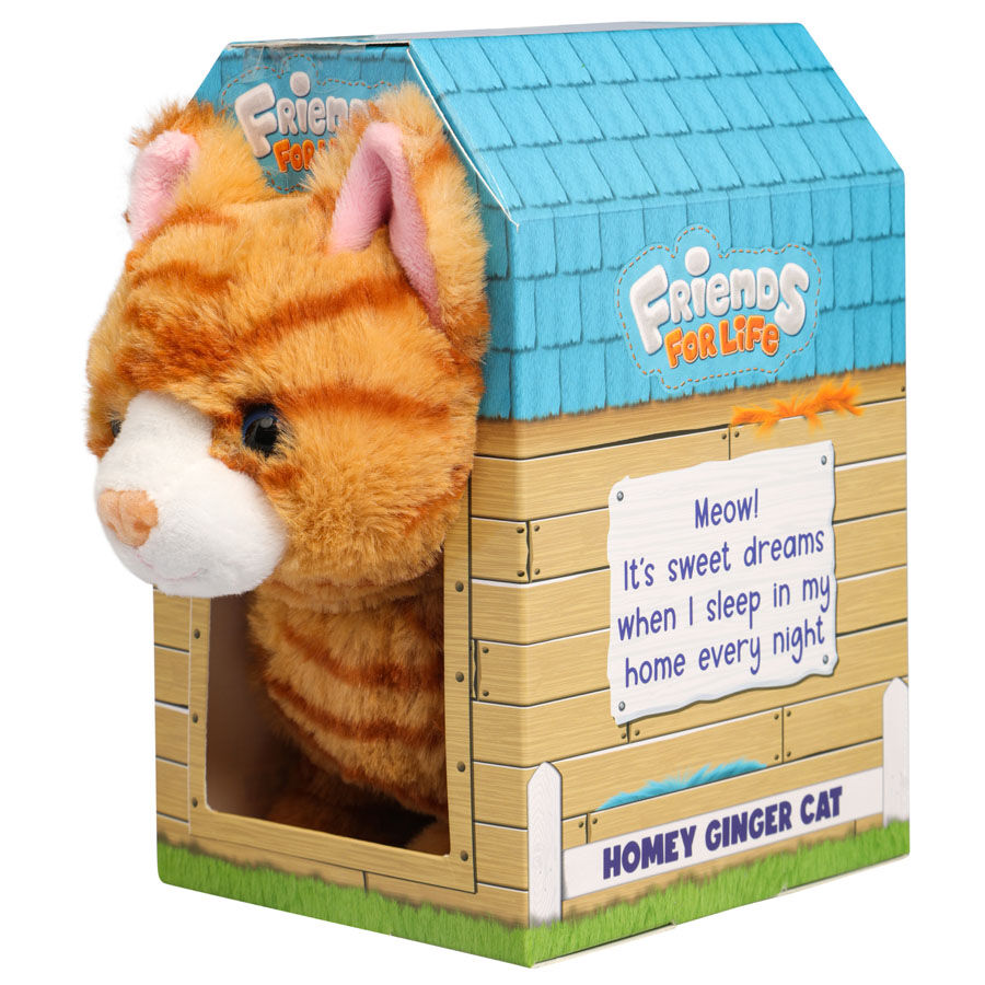 Ginger cat teddy best sale