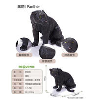 Recur Black Panther