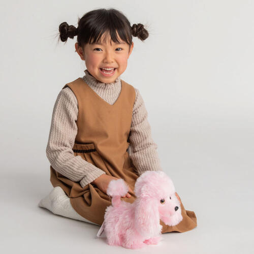Friends For Life 宠物贵宾犬玩偶19cm