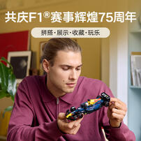 LEGO乐高 超级赛车系列 77243 红牛车队 RB20 F1
