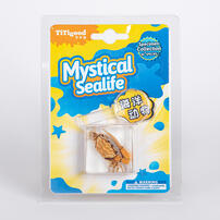 Titigood Natural Module Specimen Toy - Assorted