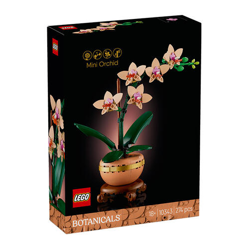 LEGO乐高 10343 典雅兰