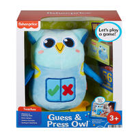 Fisher Price Guessing Pal Owl