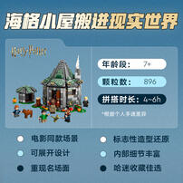 LEGO Harry Potter Hagrid's Hut: An Unexpected Visit 76428