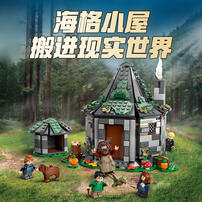 LEGO Harry Potter Hagrid's Hut: An Unexpected Visit 76428