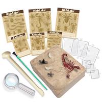 4M Kidz Labs Creepy Crawly Digging Kit