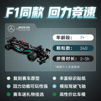 LEGO Technic Mercedes-AMG F1 W14 E Performance Pull-Back 42165 