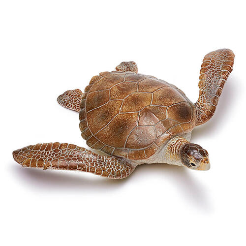 Recur Caretta Caretta