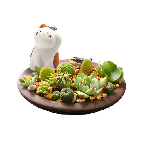 Mini Garden Cat's Garden Yms