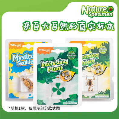 Titigood Natural Module Specimen Toy - Assorted