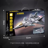 奇妙积木 歼20-迷彩版