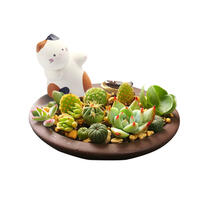 Mini Garden Cat's Garden Yms