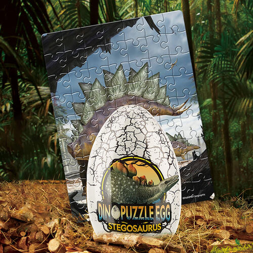 Cubicfun Stegosaurus/Pterosaur (Jigsaw) -Assorted