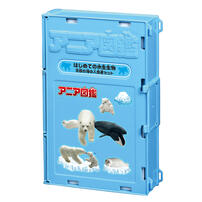 Ania Picture Book Acatic Animal