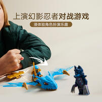 LEGO Ninjago 71802 Nya'S Rising Dragon Strike