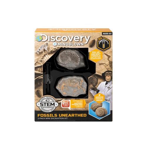 Discovery 玩具迷你化石挖掘两件套装                          