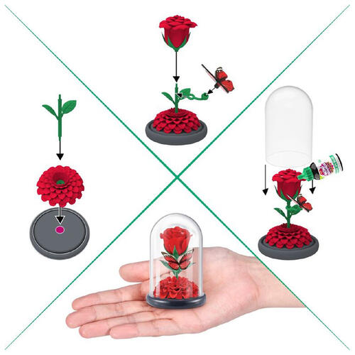 筑榆 指尖收藏家之迷你花园 - 随机发货