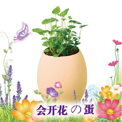 Mini Garden Large Flower Egg - Assorted